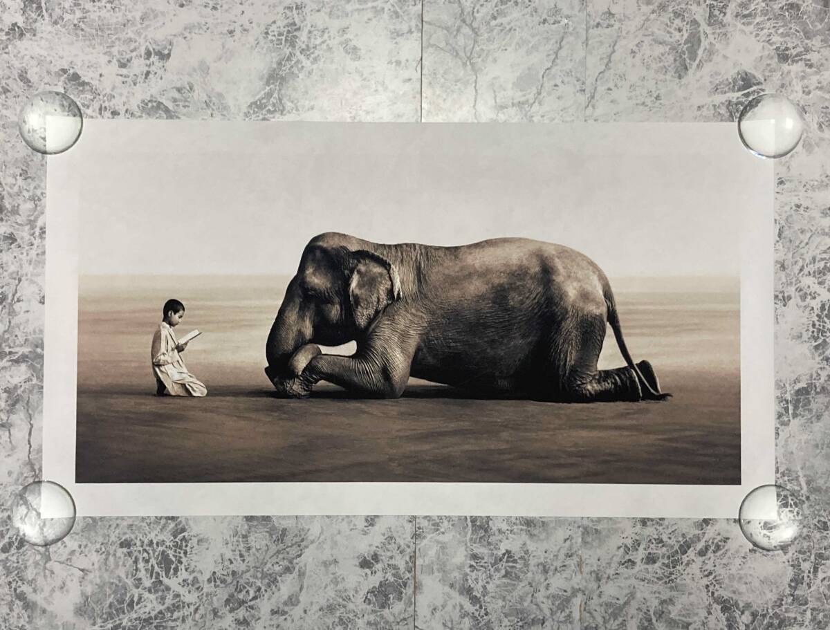 Gregory Colbert: ashes and snow グレゴリー・コルベール 灰と