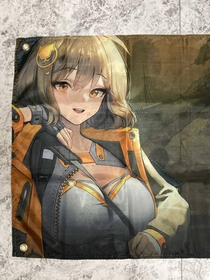 Amazon.co.jp: 勝利の女神 NIKKE クリアポスター メアリー 水着