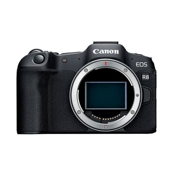 中古 １年保証 美品 Canon EOS R8 ボディ
