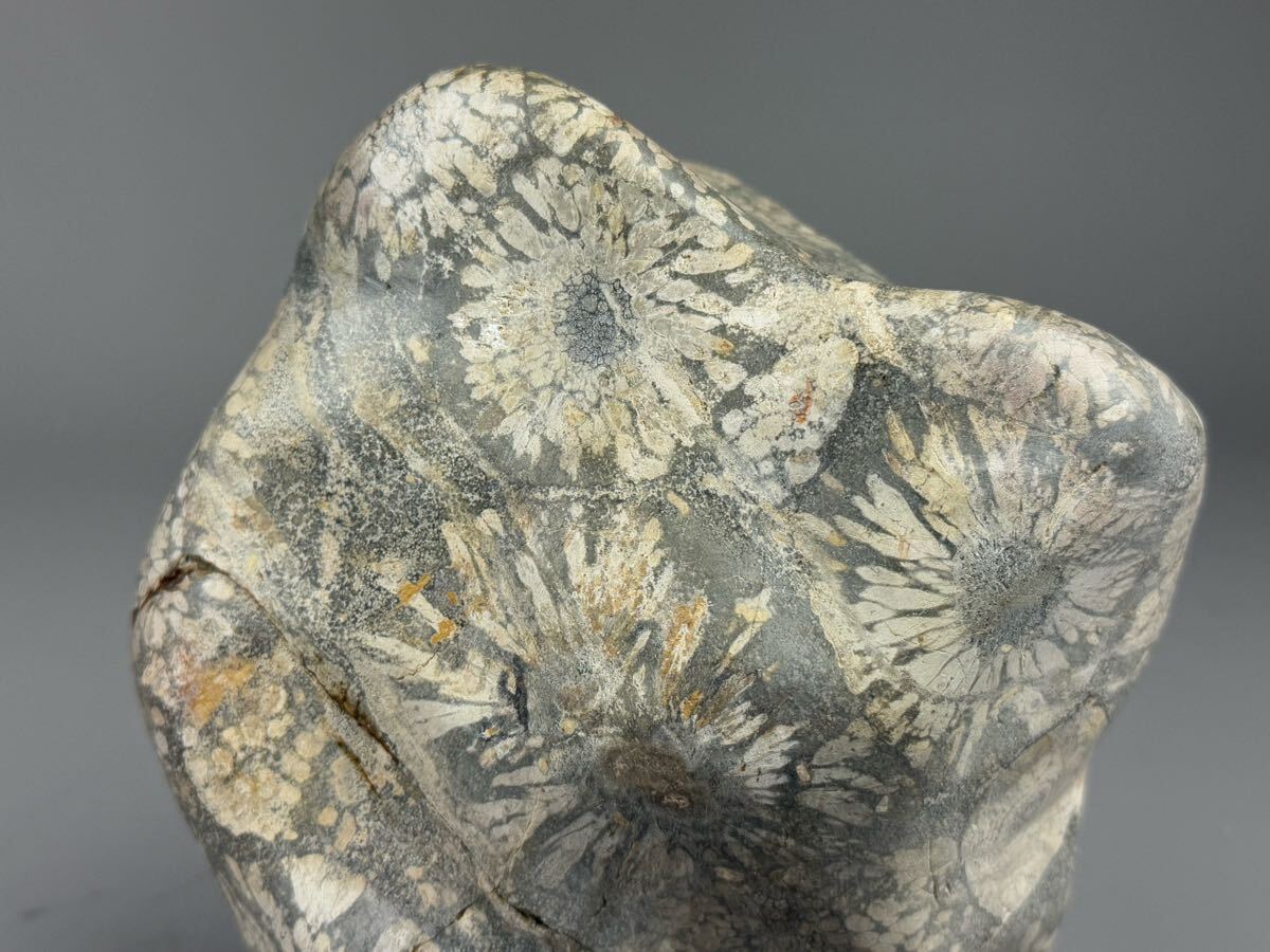 鑑賞石 菊花石 天然石 水石 台座付 約4.1kg 原石 置物 自然石 鑑賞石 菊花石 天然石 水石 台座付 約4.1kg 原石 置物 自然石