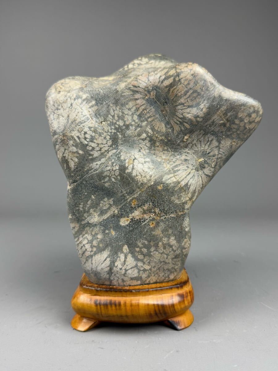 鑑賞石 菊花石 天然石 水石 台座付 約4.1kg 原石 置物 自然石 鑑賞石 菊花石 天然石 水石 台座付 約4.1kg 原石 置物 自然石