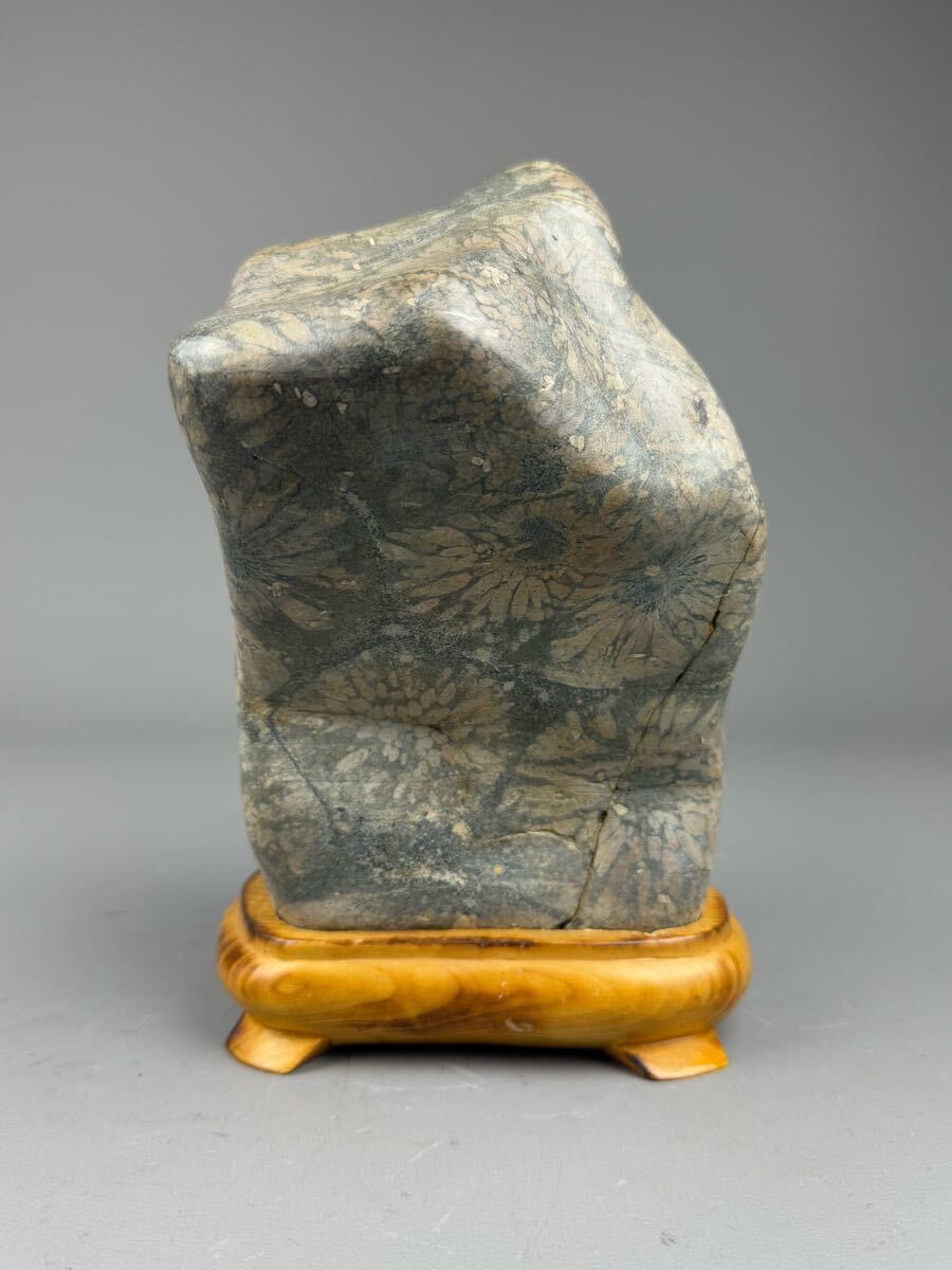 鑑賞石 菊花石 天然石 水石 台座付 約4.1kg 原石 置物 自然石 鑑賞石 菊花石 天然石 水石 台座付 約4.1kg 原石 置物 自然石
