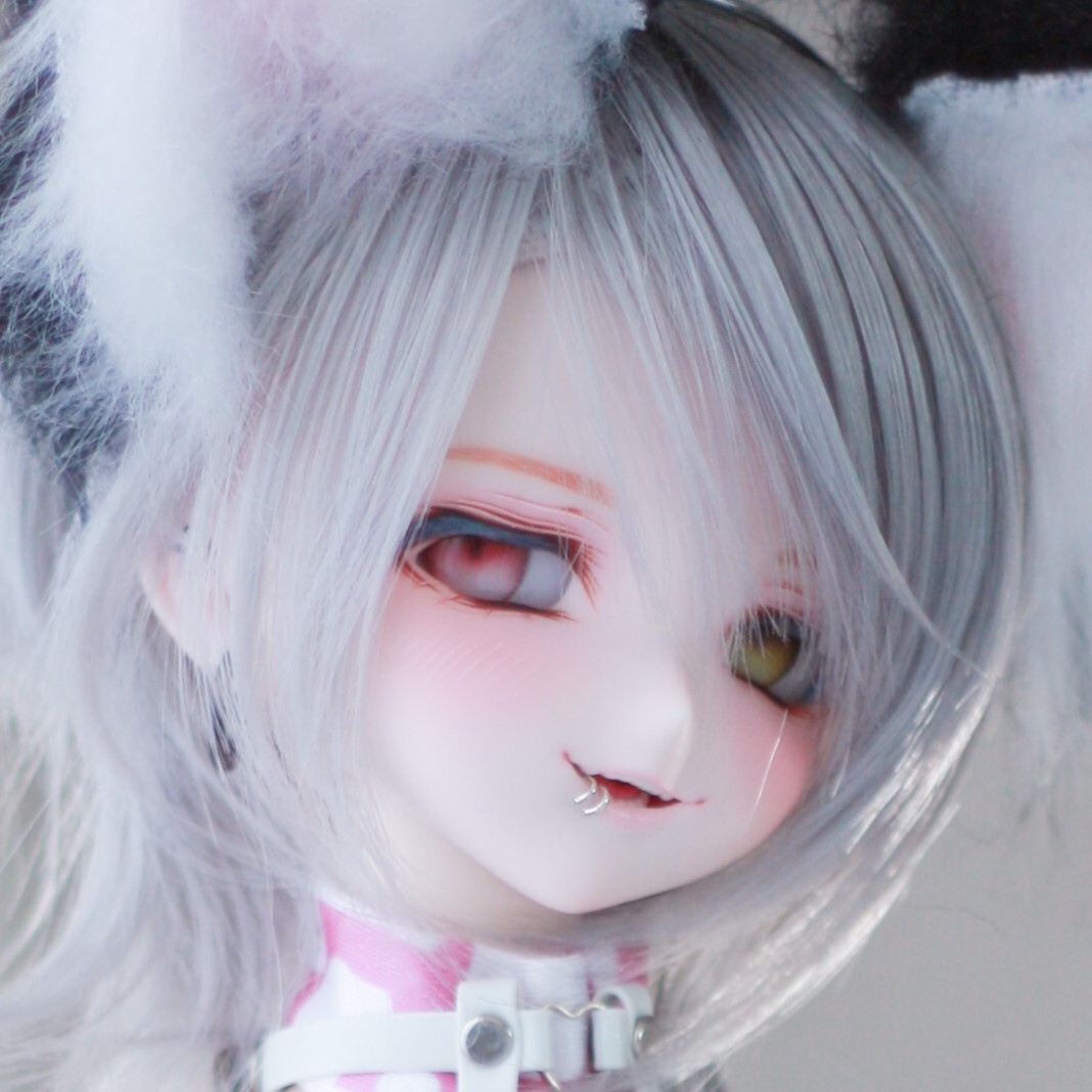 Yahoo!オークション - DDH - 10 カスタムヘッド ( SW肌 ) ソフビ Yahoo!オークション - DDH - 10 カスタムヘッド ( SW肌 ) ソフビ