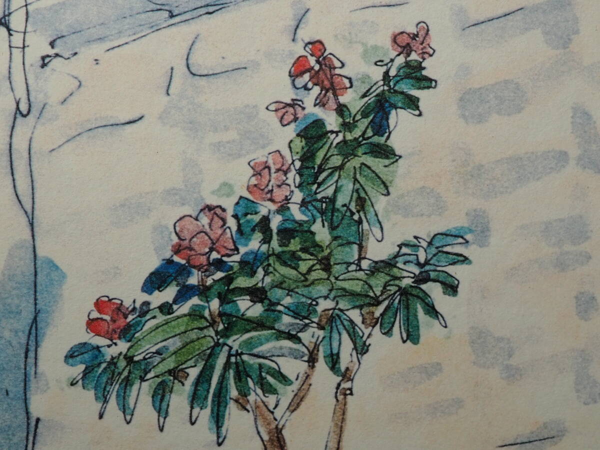 良品 水彩畫　花 榎木孝明 リトグラフ サイン入り 額裝　246/500　真作保証