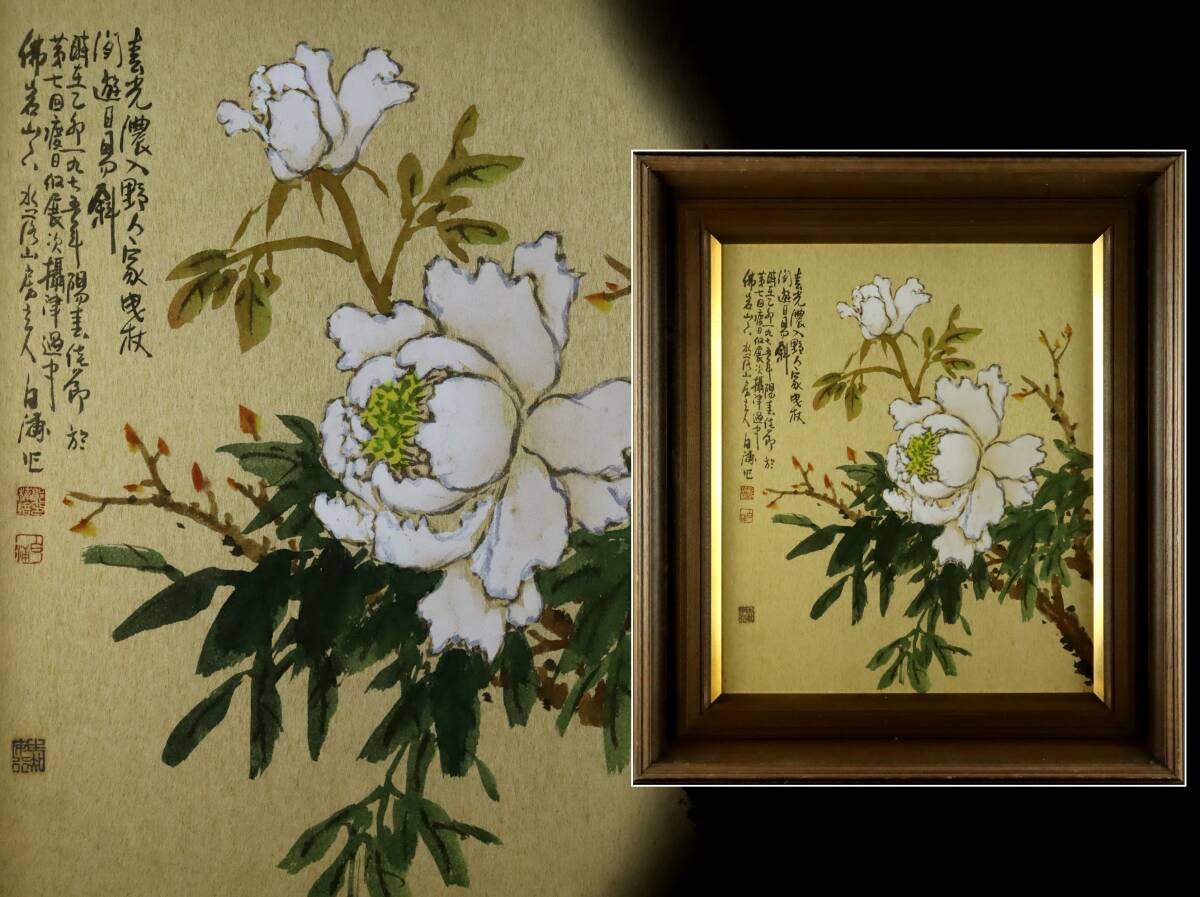真作保証 白浦郭楠培 草花図 墨彩画8号 韓国人作家 [Rg10ざぺ 真作保証 白浦郭楠培 草花図 墨彩画8号 韓国人作家 [Rg10ざぺ