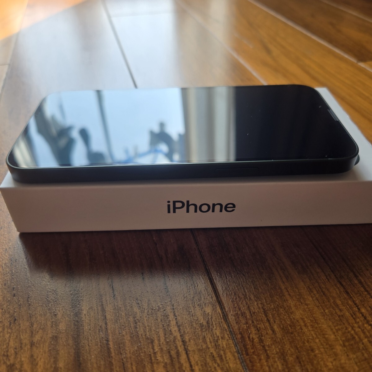 iPhone 13 128GB グリーン 88% MNGG3J/A 美品 未使用付属 iPhone 13 128GB グリーン 88% MNGG3J/A 美品 未使用付属