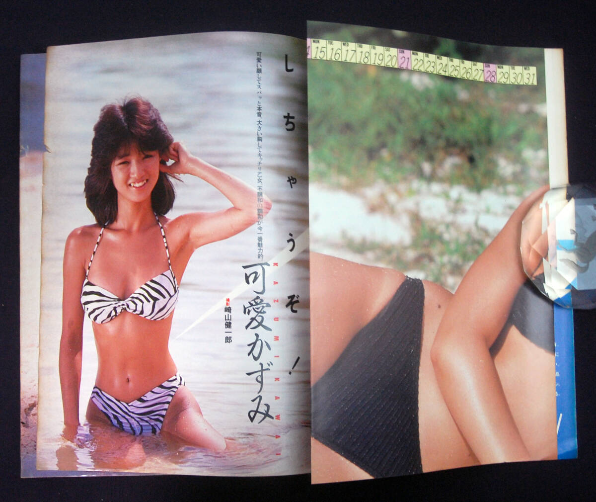 プレイボーイ 1984年10月9日号 武田久美子/可愛かずみ/小川菜摘 プレイボーイ 1984年10月9日号 武田久美子/可愛かずみ/小川菜摘