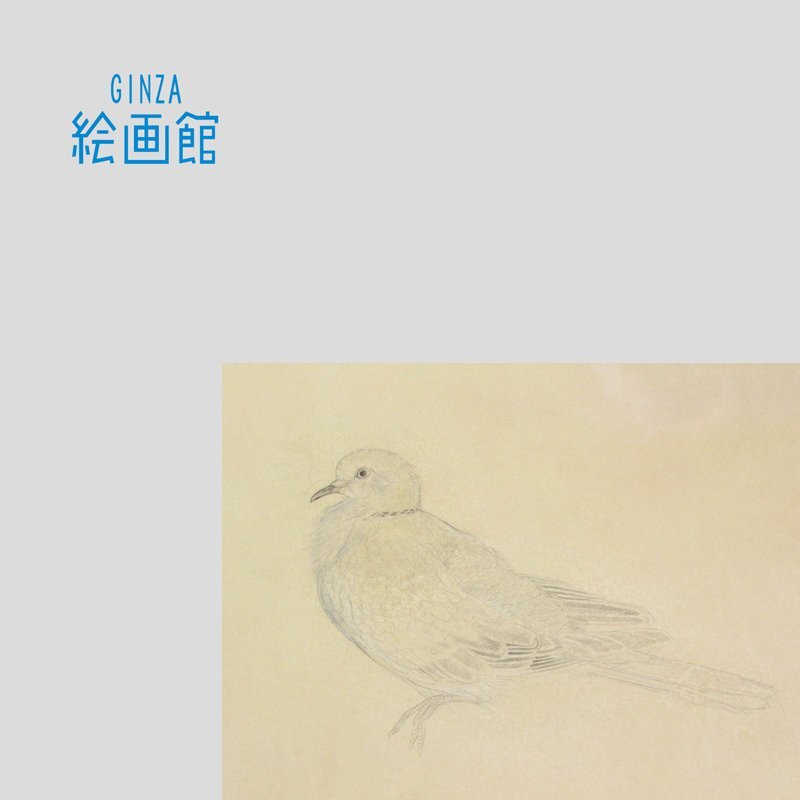 GINZA絵画館】竹内浩一 8号「数珠掛鳩」鳥・共シール・1979
