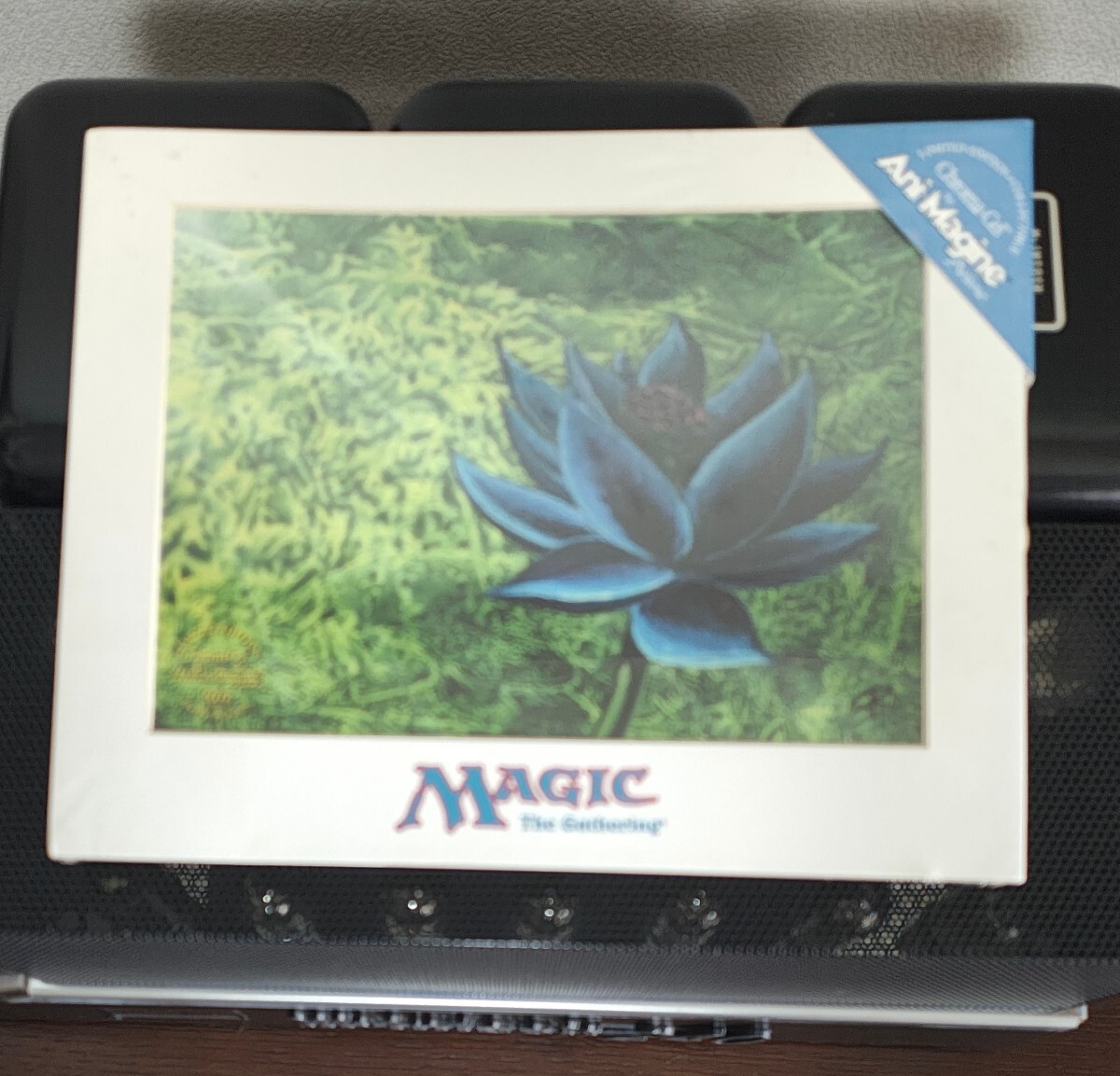 MTG アートプリント Black Lotus ブラックロータス 複製原画 未 MTG アートプリント Black Lotus ブラックロータス 複製原画 未