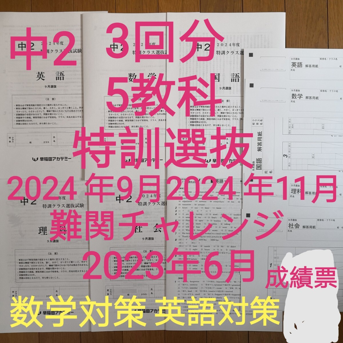3回分中2 特訓クラス選抜試験2024年9月11月難関チャレンジ2023 3回分中2 特訓クラス選抜試験2024年9月11月難関チャレンジ2023