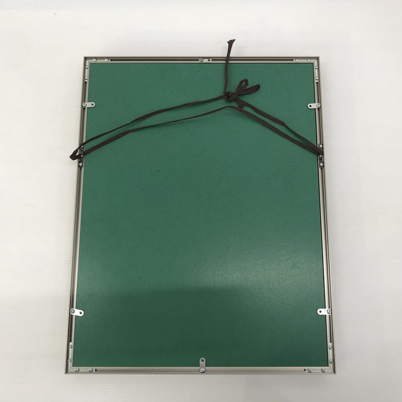 TEI【現状渡し品】ワンピース 複製原画 最悪の世代 カラー原画 TEI【現状渡し品】ワンピース 複製原画 最悪の世代 カラー原画
