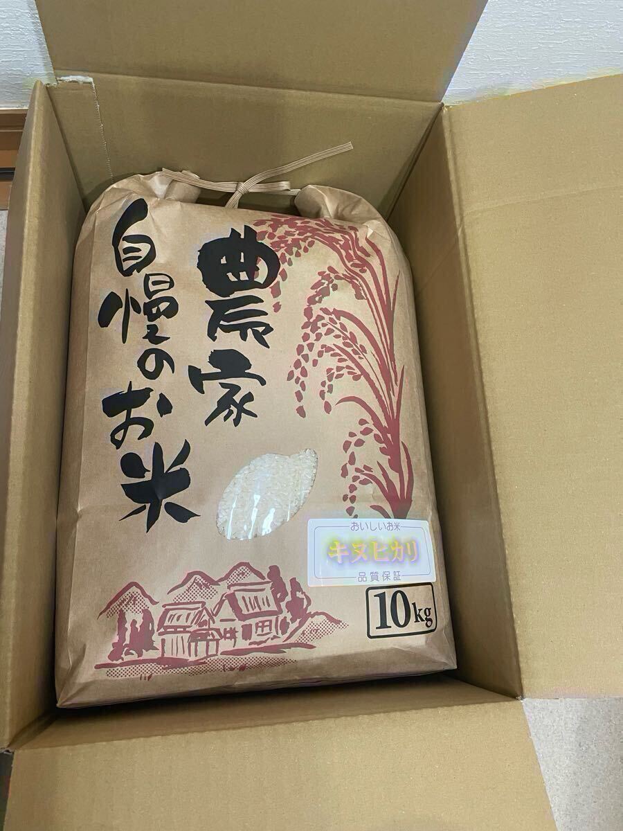 【滋賀発】キヌヒカリ　きぬひかり 精米済 白米　10kg (精米済の為9.2kg) 近江米