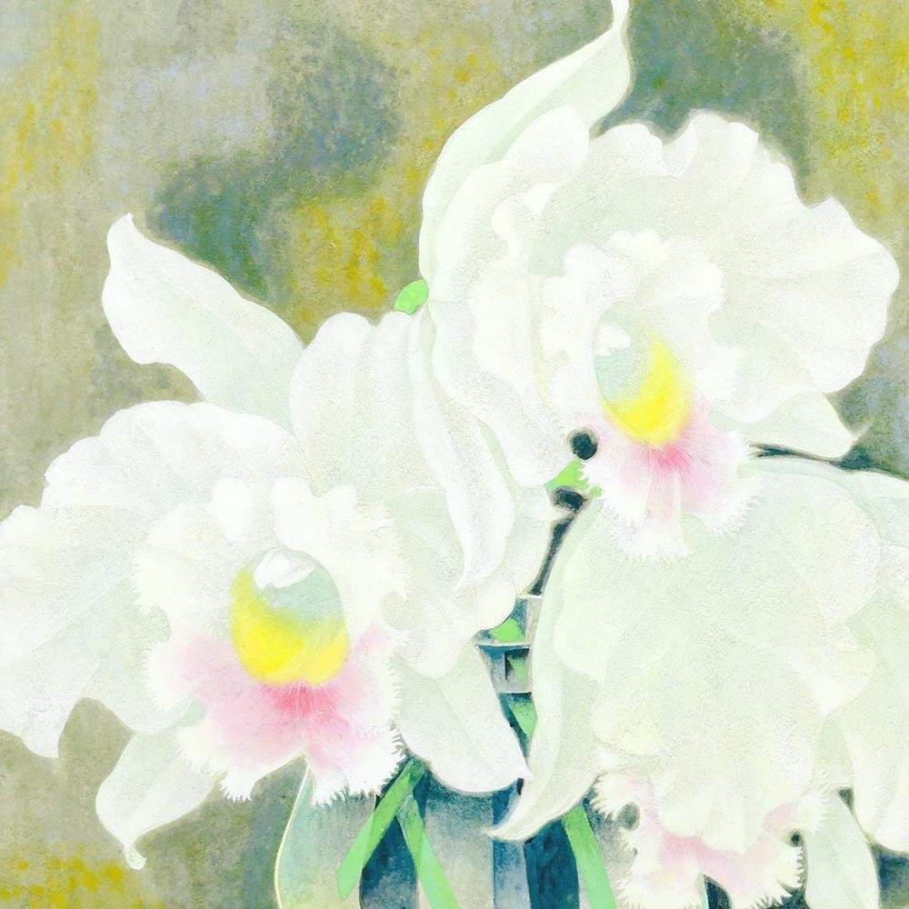真作】【WISH】大塚栄治 日本画 10号 金落款 白い花 カトレア 〇 真作】【WISH】大塚栄治 日本画 10号 金落款 白い花 カトレア 〇