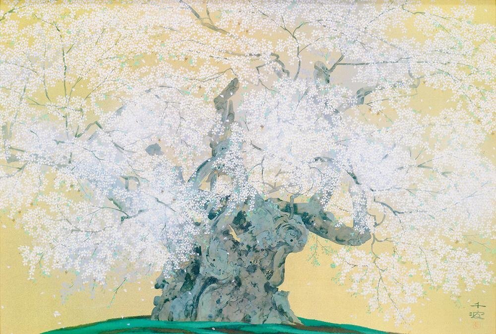 WISH】中島千波「山高神代桜」複製画(岩絵の具方式) 約12号 大作 WISH】中島千波「山高神代桜」複製画(岩絵の具方式) 約12号 大作