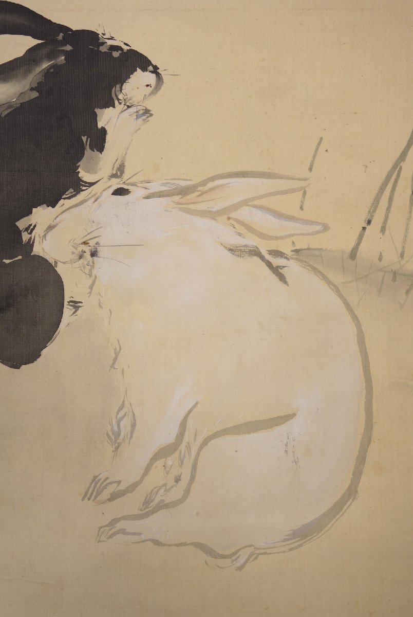 模写】 蔵壷◇『竹内栖鳳 双兎図』 1幅 古筆 古文書 古書 水墨画