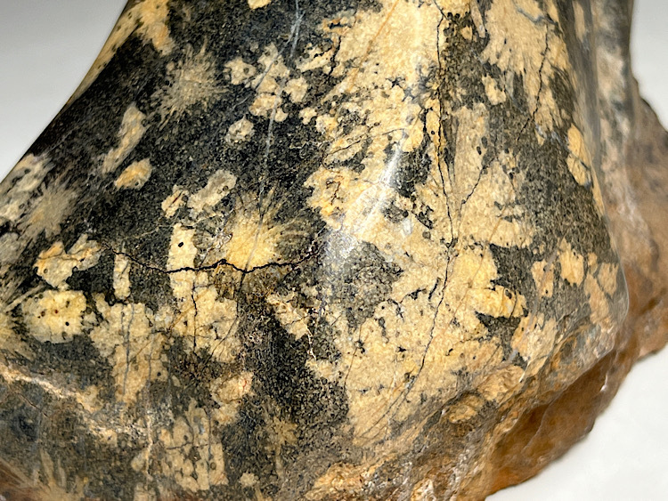 瑞】菊花石 天然石 鑑賞石 総重量:約2.6kg(原石)|売買 瑞】菊花石 天然石 鑑賞石 総重量:約2.6kg(原石)|売買