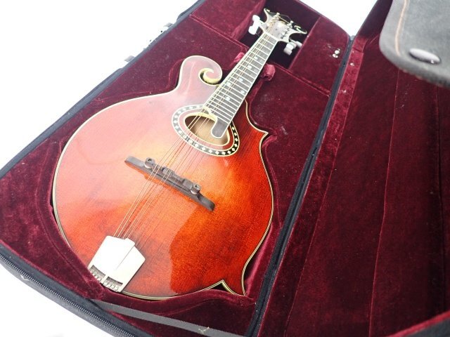 EASTMAN イーストマン MD-814/A.RED フラットマンドリン ケース EASTMAN イーストマン MD-814/A.RED フラットマンドリン ケース