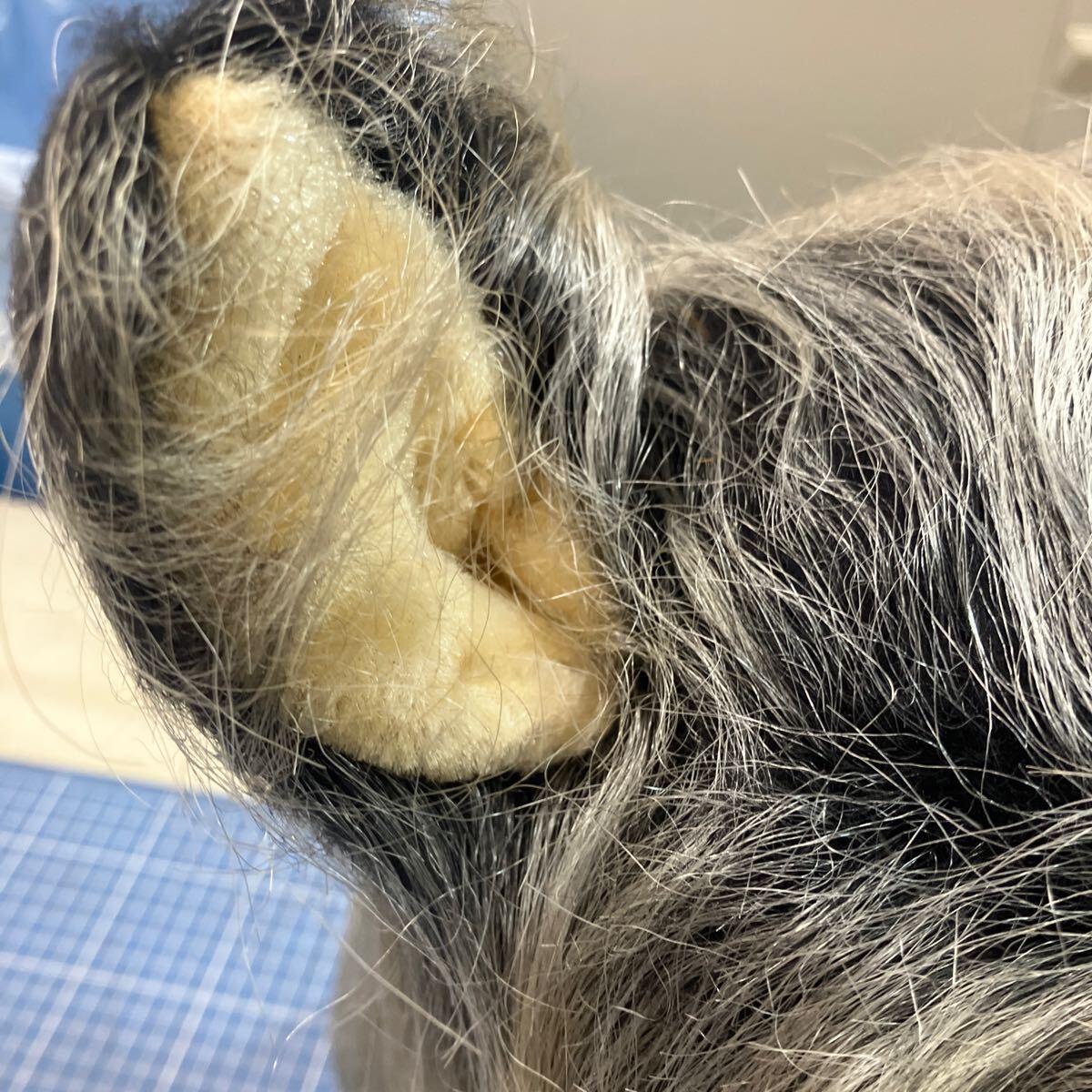 【ツジペット ぬいぐるみ ヨークシャテリア①】インテリア 置物 リアルな犬のぬいぐるみ【A9-4】0403