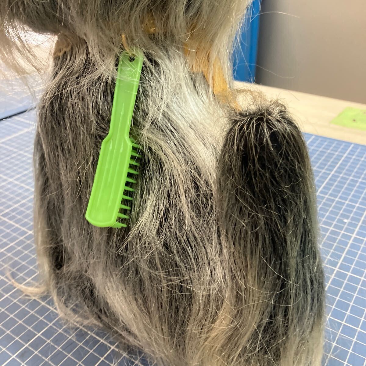 【ツジペット ぬいぐるみ ヨークシャテリア②】インテリア 置物 リアルな犬のぬいぐるみ【A9-4】0403