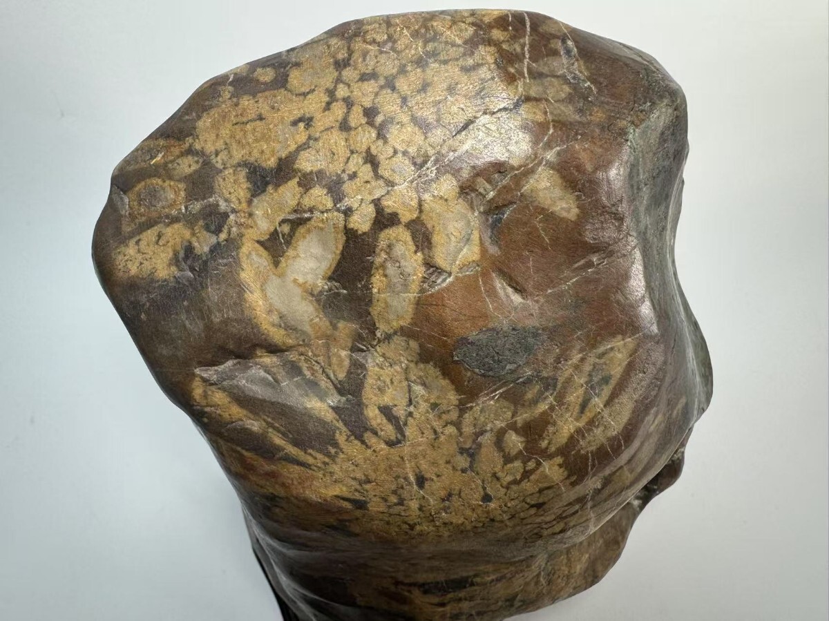 AS798 大型鑑賞石 菊花石 盆石 自然石 置物 銘石 厚重 H40cm 重 AS798 大型鑑賞石 菊花石 盆石 自然石 置物 銘石 厚重 H40cm 重