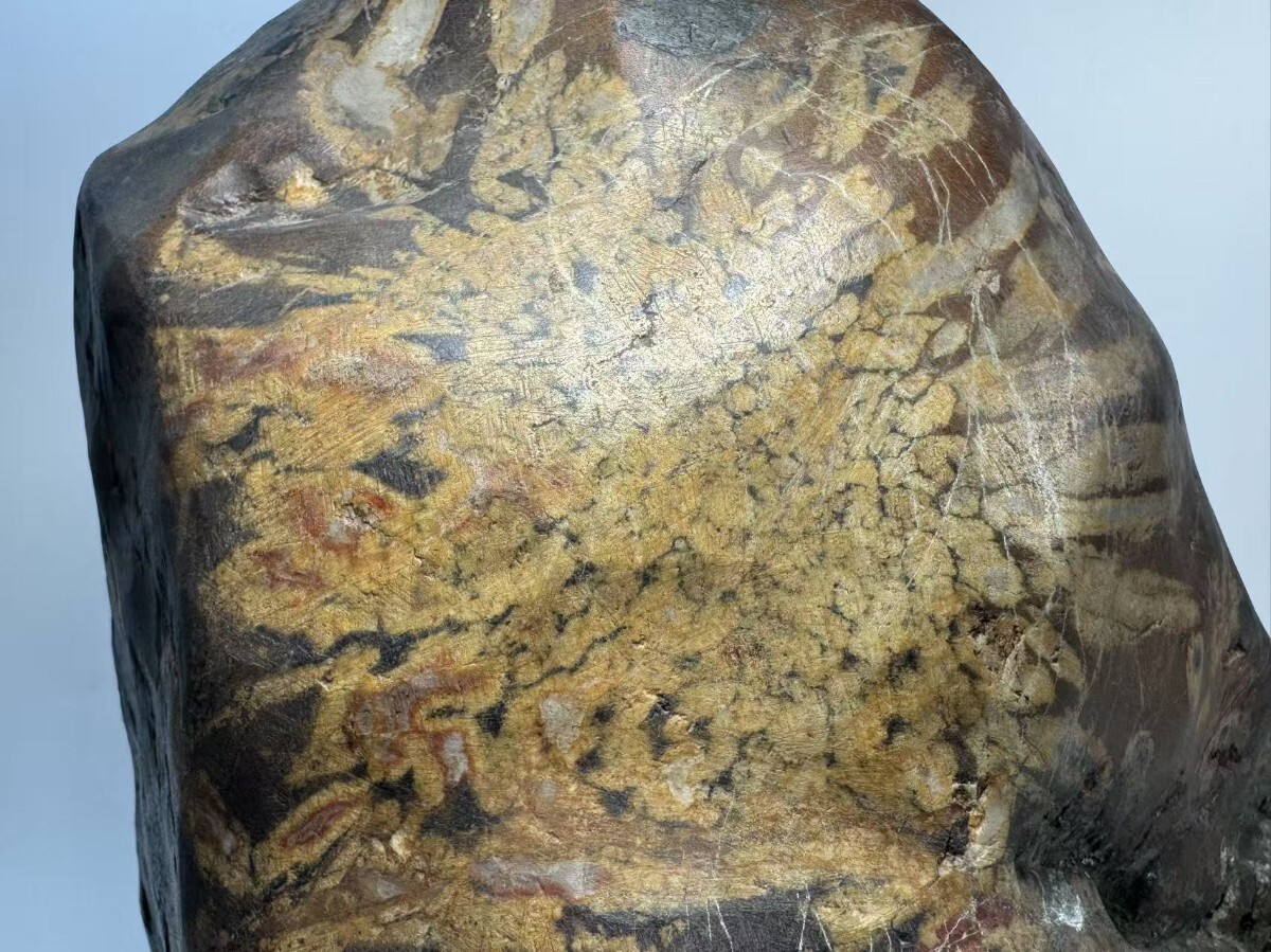 AS798 大型鑑賞石 菊花石 盆石 自然石 置物 銘石 厚重 H40cm 重 AS798 大型鑑賞石 菊花石 盆石 自然石 置物 銘石 厚重 H40cm 重