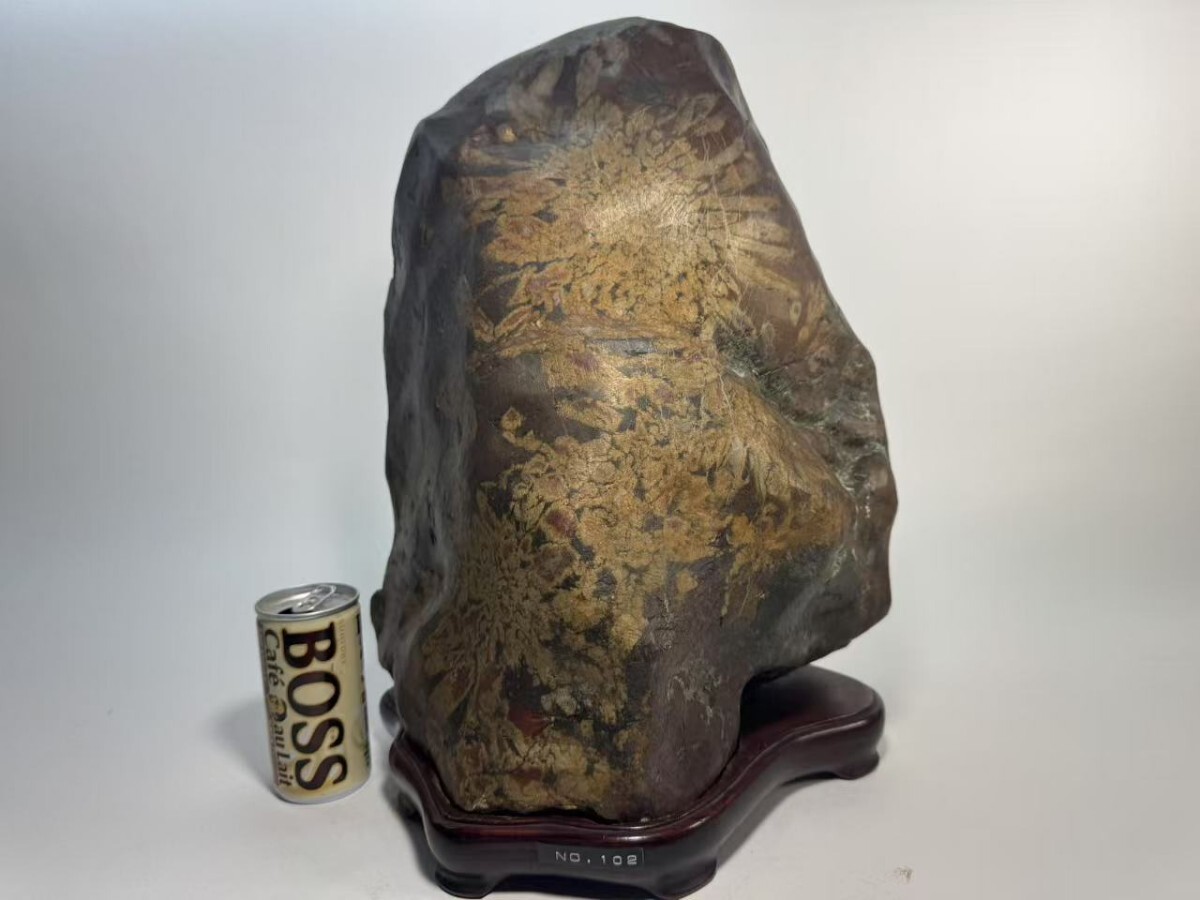 AS798 大型鑑賞石 菊花石 盆石 自然石 置物 銘石 厚重 H40cm 重 AS798 大型鑑賞石 菊花石 盆石 自然石 置物 銘石 厚重 H40cm 重
