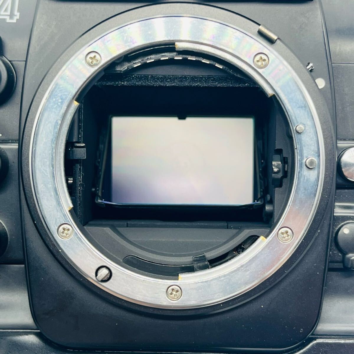 動作確認済み】NIKON F4 MF-23 MB-21 Nikon フィルムカメラ 一眼 動作確認済み】NIKON F4 MF-23 MB-21 Nikon フィルムカメラ 一眼