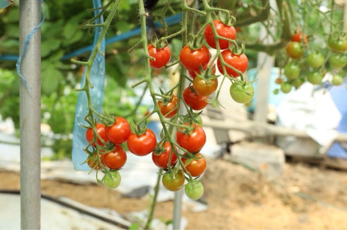 item_image_5