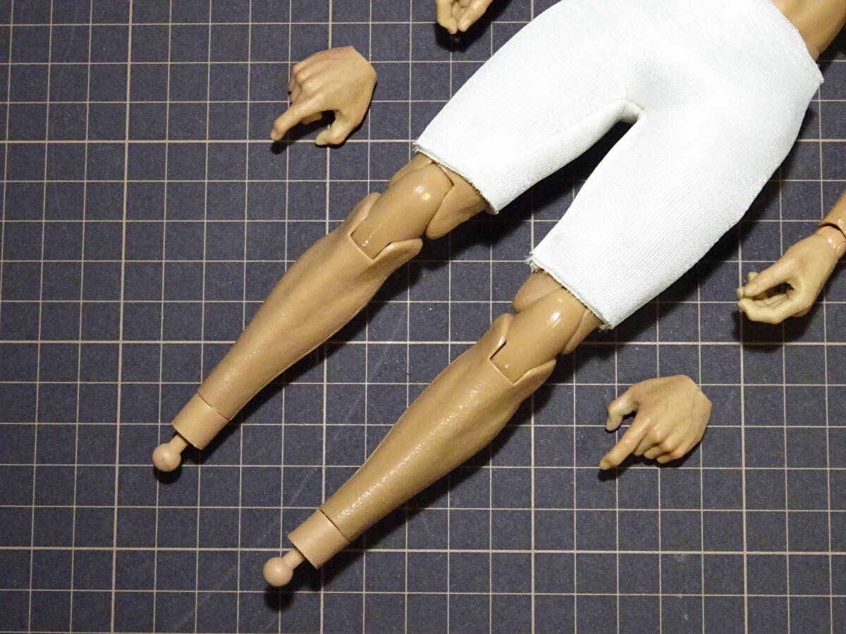 DAMTOYS ダムトイズ 1/6 ボディ 素体 ハンド ミリタリー DAMTOYS ダムトイズ 1/6 ボディ 素体 ハンド ミリタリー