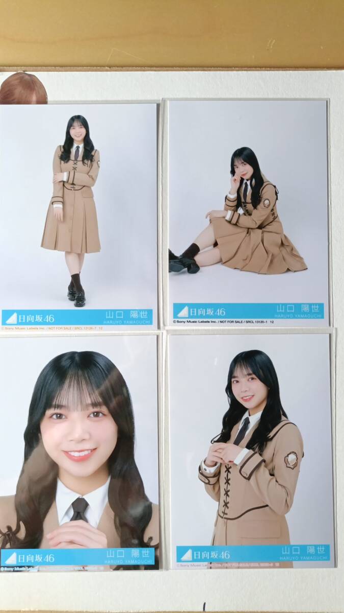 山口陽世 個別 フォトアルバム 卒業写真だけが知ってる 日向坂46 山口陽世 卒業写真だけが知っている 通常版 4種コンプ 日向坂46