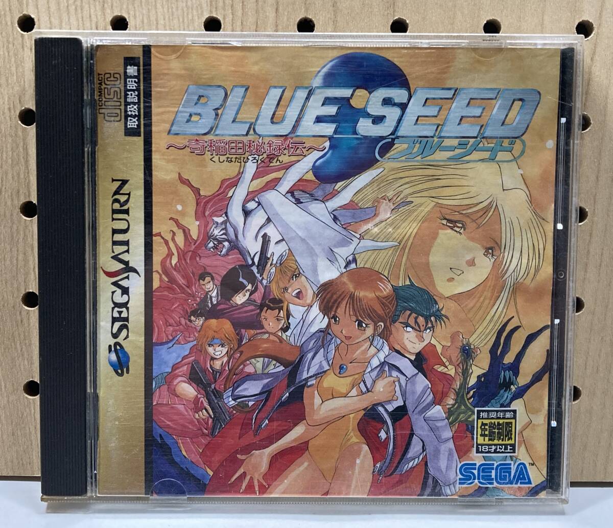 SS ソフト ブルーシード 〜奇稲田秘録伝〜 動作未確認_画像1