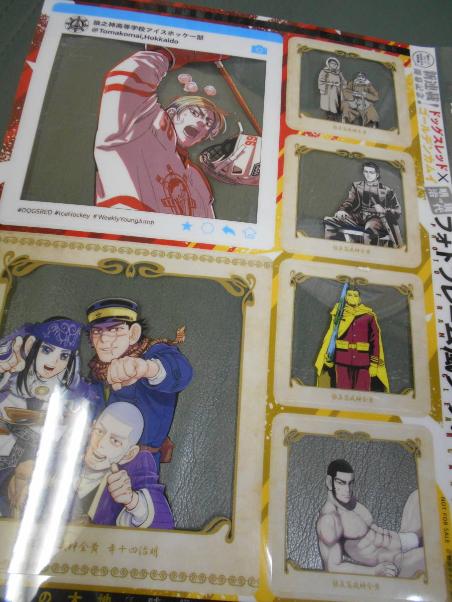  ヤングジャンプ 付録 ゴールデンカムイ × ドッグスレッド 明治→現(xiàn)代 フォトフレーム風(fēng)クリアカード 