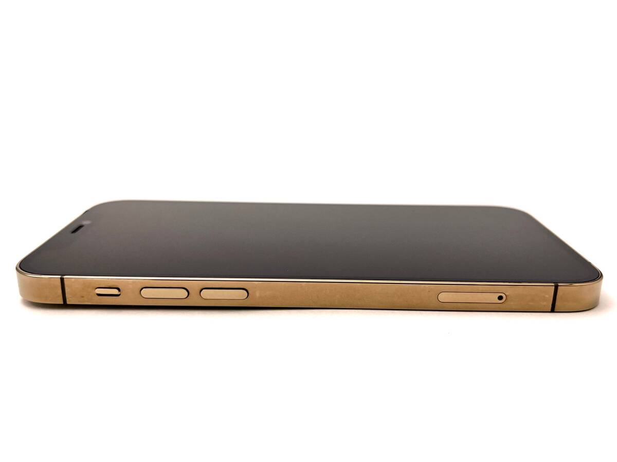 ジャンク品 iPhone12 Pro 256GB ゴールド docomo SIMロック未 ジャンク品 iPhone12 Pro 256GB ゴールド docomo SIMロック未