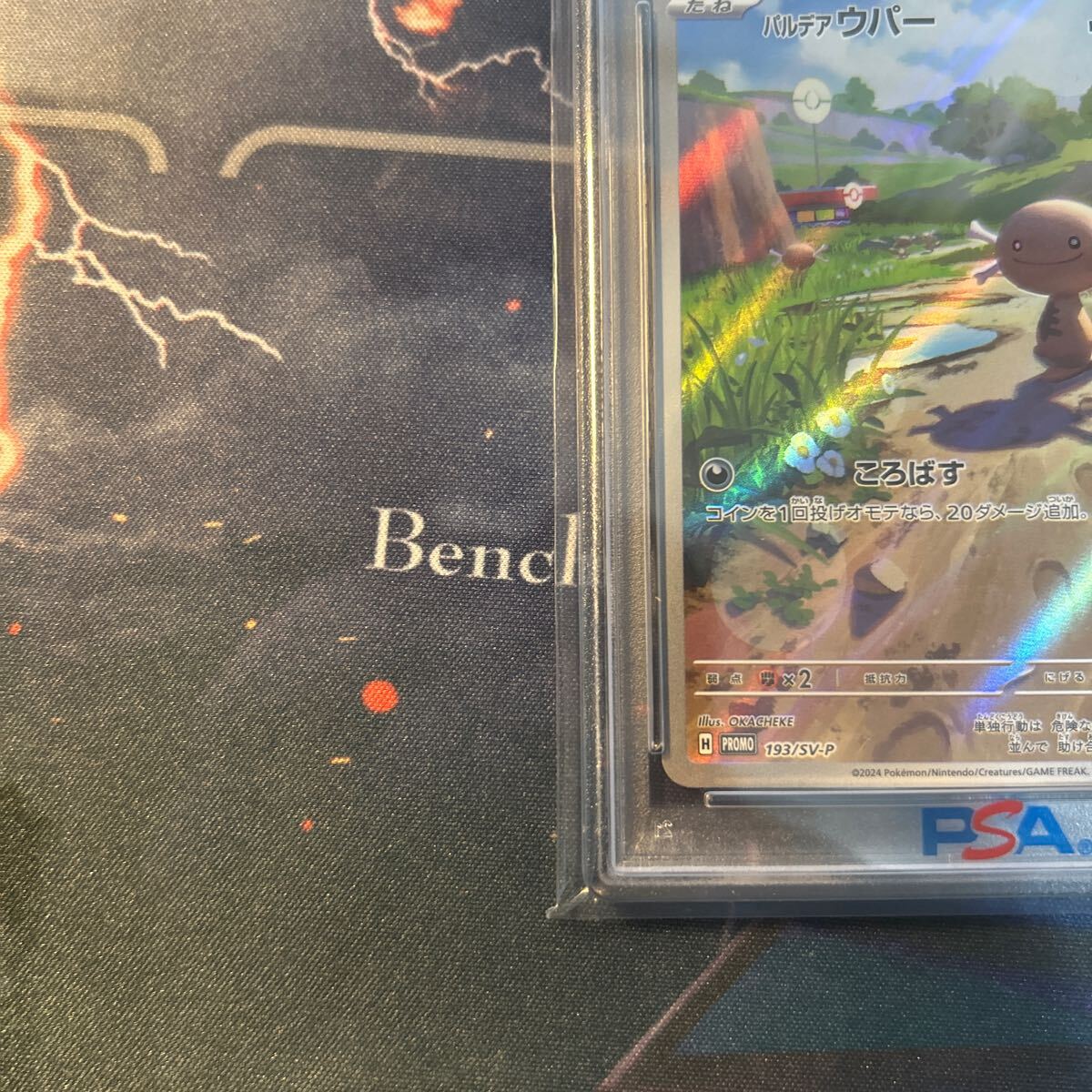 パルデアウパー プロモ psa10(シングルカード)|売買された パルデアウパー プロモ psa10(シングルカード)|売買された