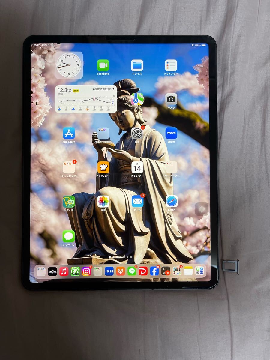 iPad Pro12.9 第五世代 セルラー SIMフリー Wi-Fi (iPad本体 iPad Pro12.9 第五世代 セルラー SIMフリー Wi-Fi (iPad本体
