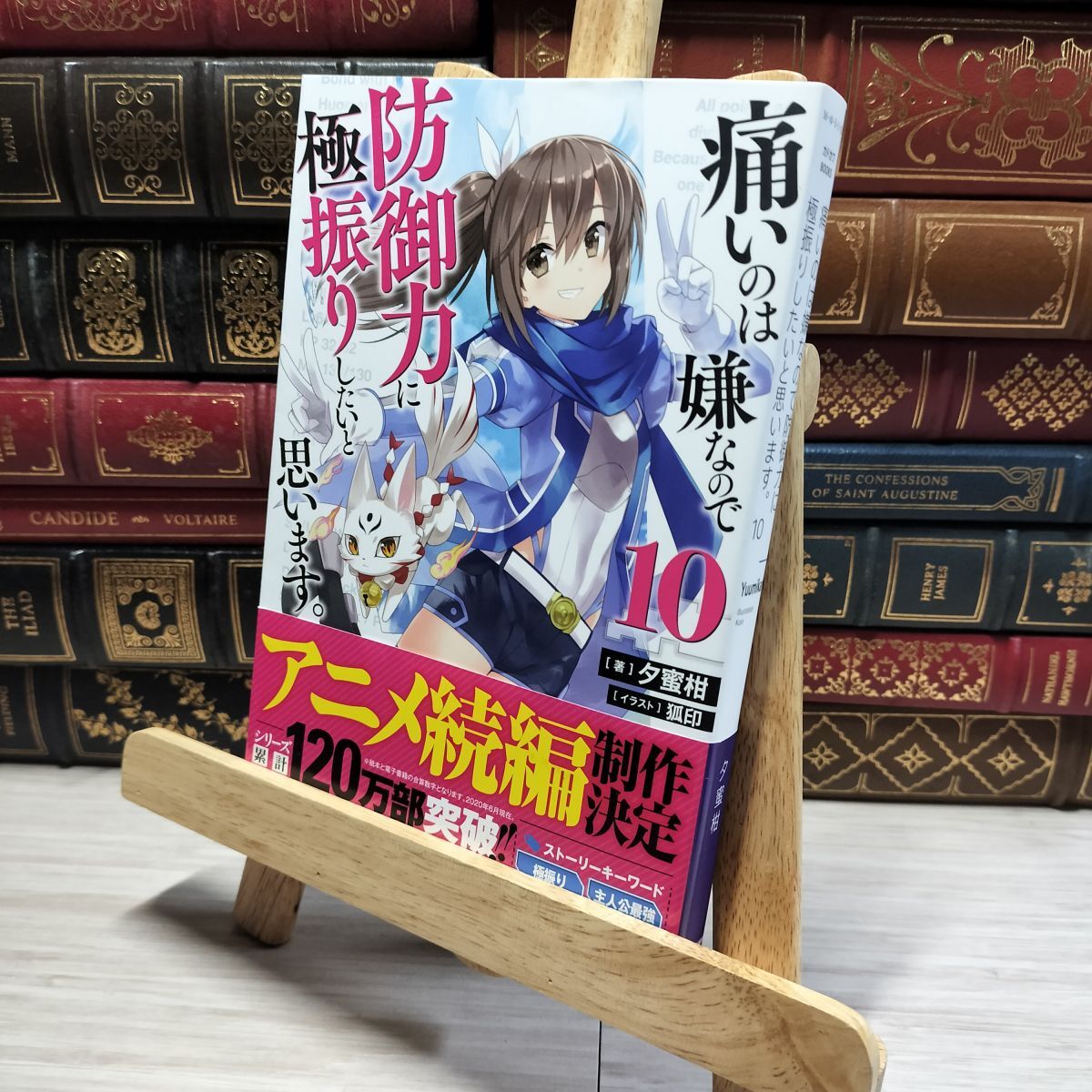 8-1 痛いのは嫌なので防御力に極振りしたいと思います。 10 8-1 痛いのは嫌なので防御力に極振りしたいと思います。 10