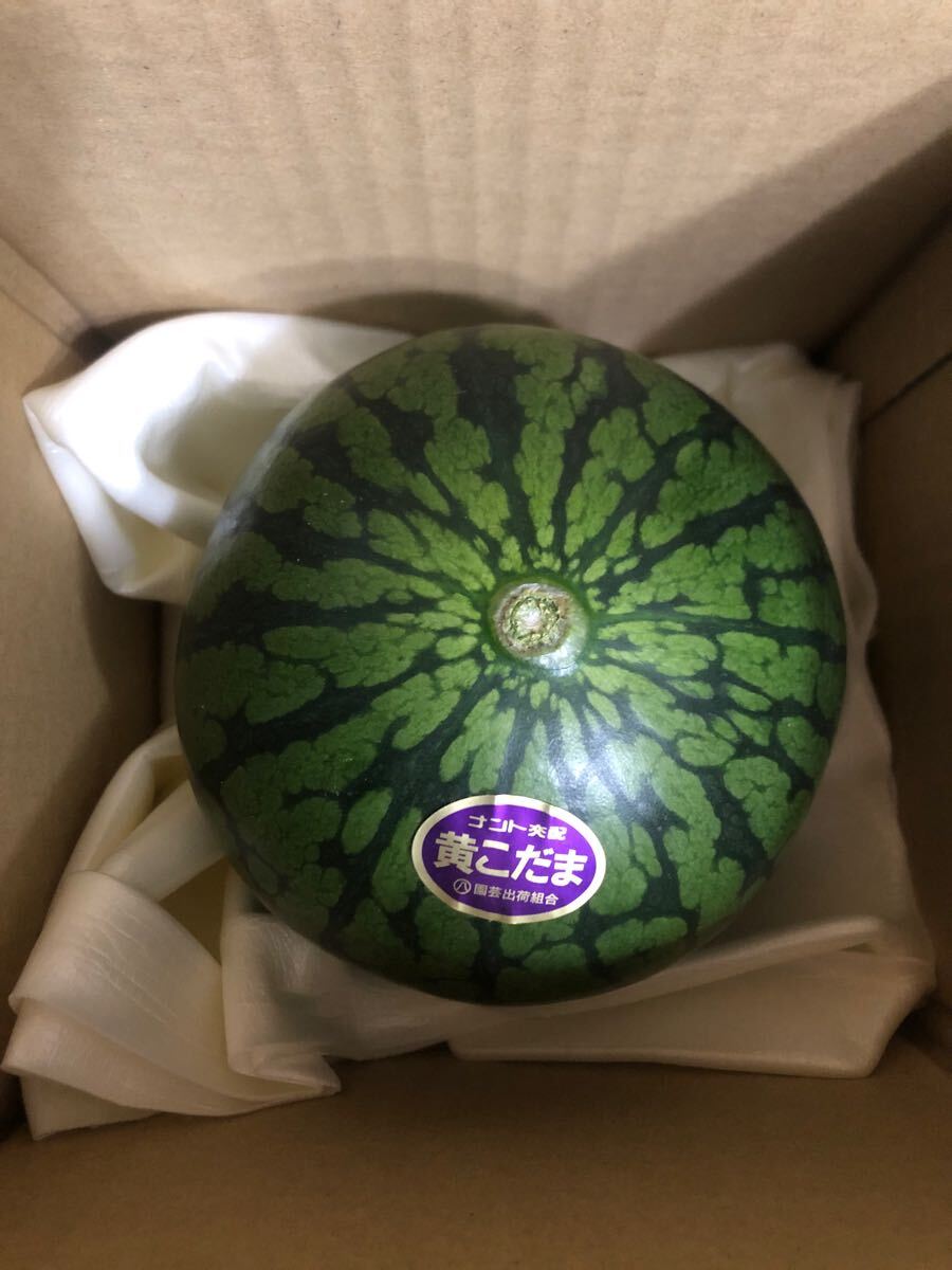 楽天市場】【送料無料】 茨城県産 すいか 小玉すいか（こだま