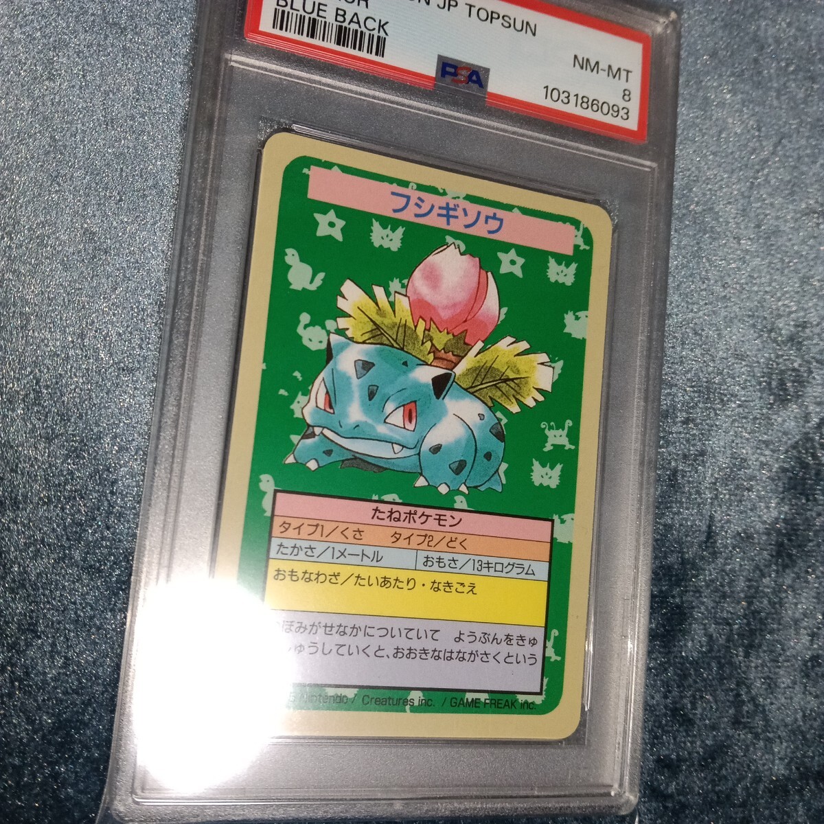 ポケカ トップサン Topsun フシギソウ 番号なしエラー 裏面青 No ポケカ トップサン Topsun フシギソウ 番号なしエラー 裏面青 No