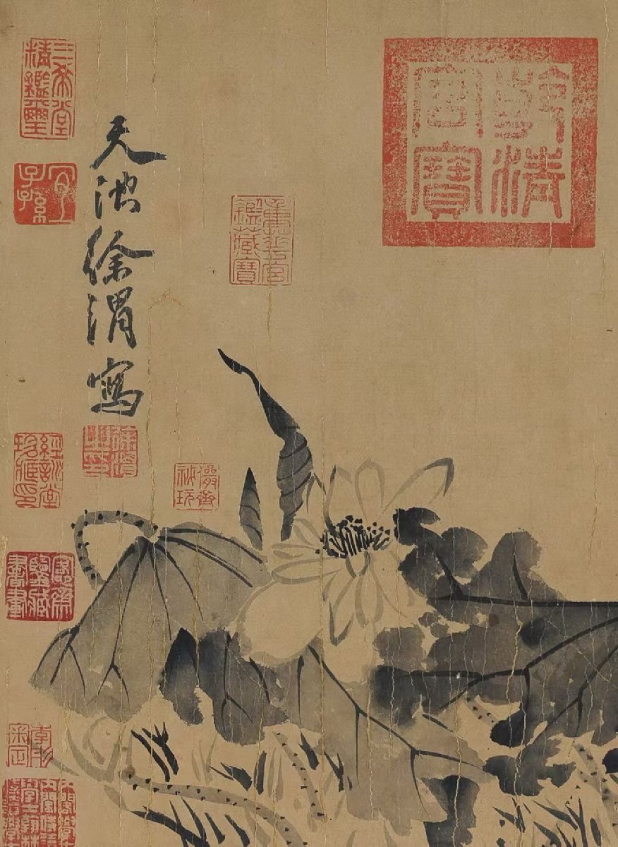 清】某蒐集家買入「徐渭寫」中国明時代画家 紙本【蓮花図・手巻 清】某蒐集家買入「徐渭寫」中国明時代画家 紙本【蓮花図・手巻