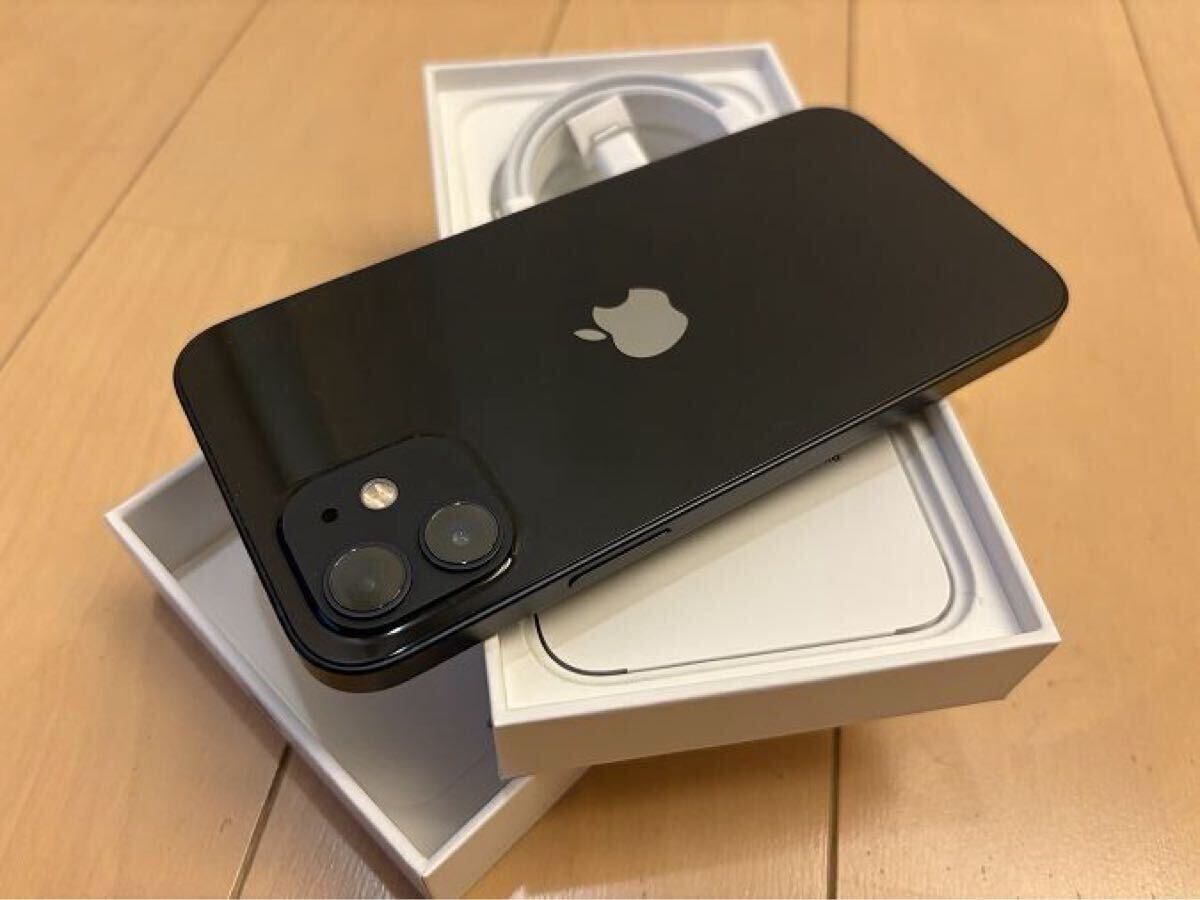 iPhone 12 128GB Apple au SIMロック解除済 中古品 [良好な状態 iPhone 12 128GB Apple au SIMロック解除済 中古品 [良好な状態