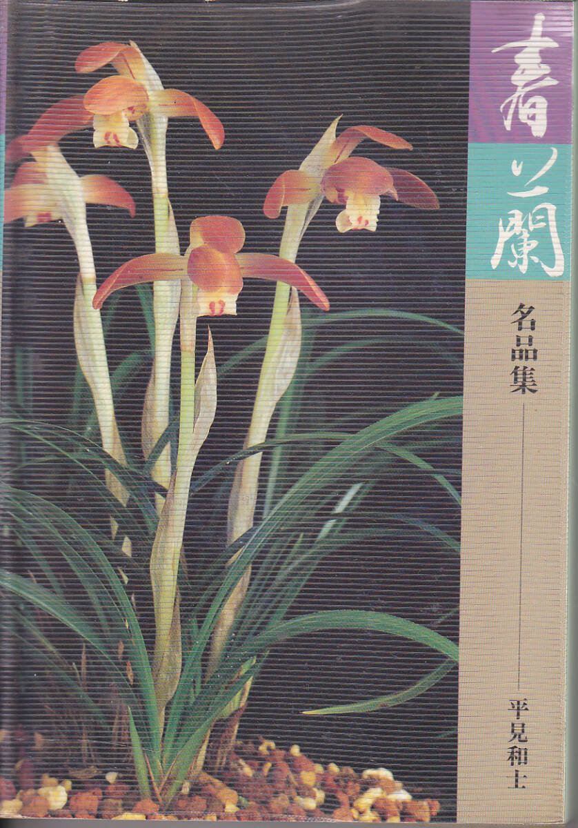 1589【500円+送料200円】《寫真集》「春蘭 名品集」平見和士 著 1985年　壽楽園刊