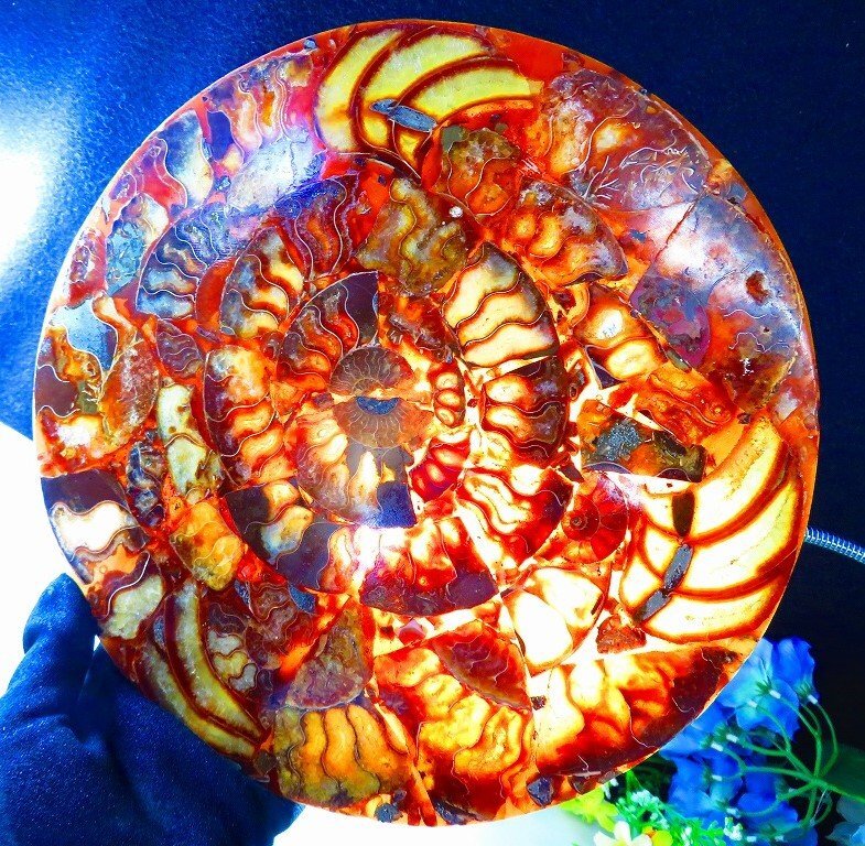 数万個の中の一個☆天然マダガスカル産 ☆ 縫合線オパール 数万個の中の一個☆天然マダガスカル産 ☆ 縫合線オパール