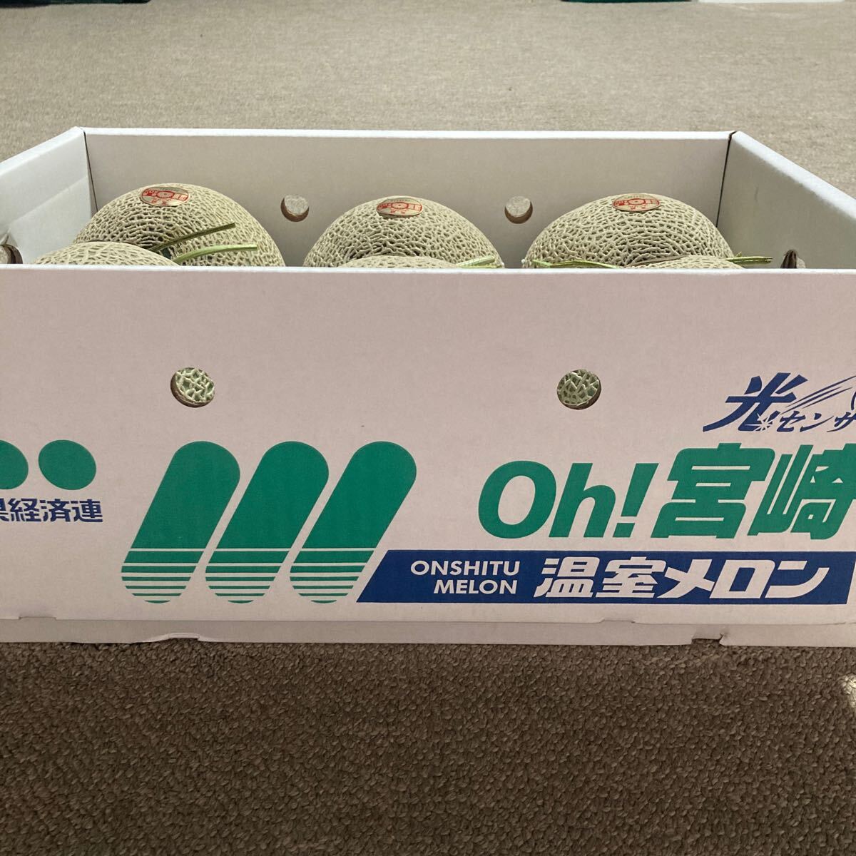 赤肉 温室メロン　宮崎県産