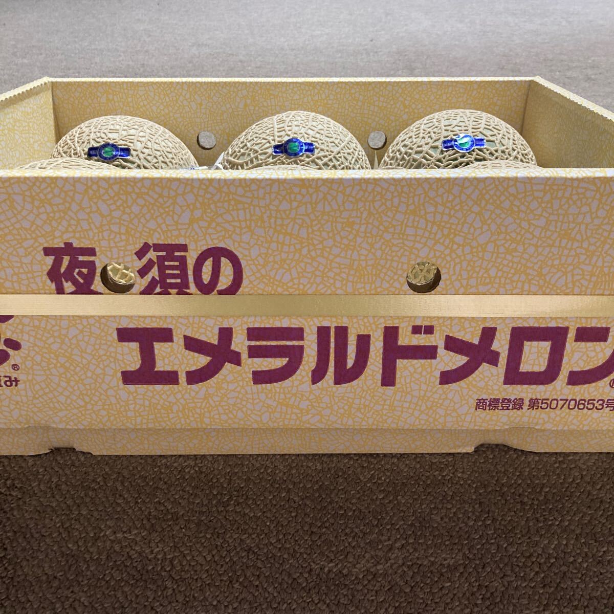 温室メロン　高知県産 エメラルドメロン
