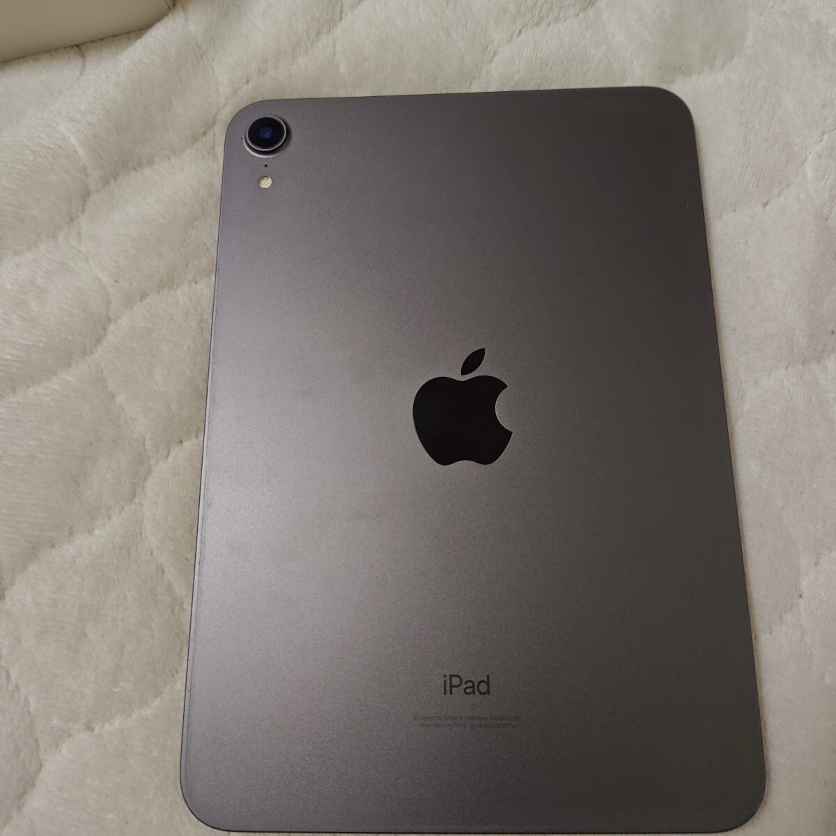 アップル Apple iPad mini (第6世代) Wi-Fi 256GB スペース アップル Apple iPad mini (第6世代) Wi-Fi 256GB スペース