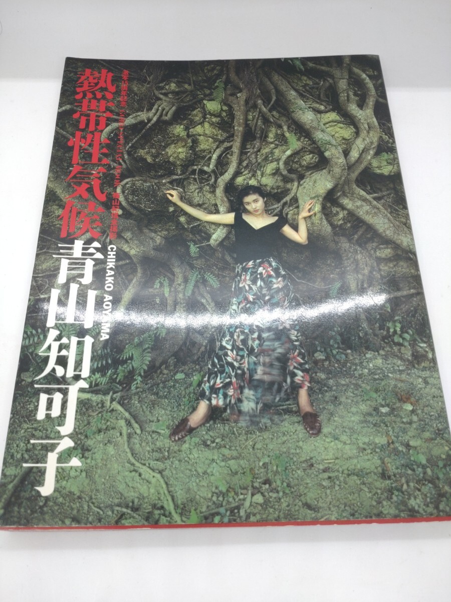 希少 初版 青山知可子 熱帯性気候 写真集(あ行)|売買された 希少 初版 青山知可子 熱帯性気候 写真集(あ行)|売買された