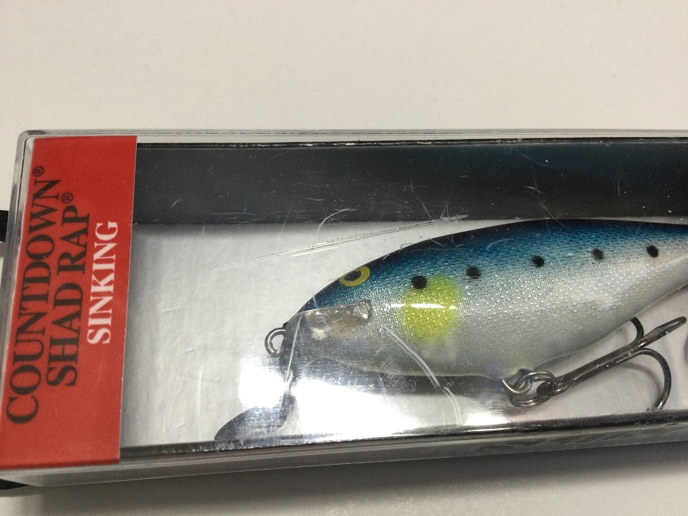 未使用　ラパラ　CDSR-8　カウントダウンシャッドラップ　ジャパンスペシャル_画像3