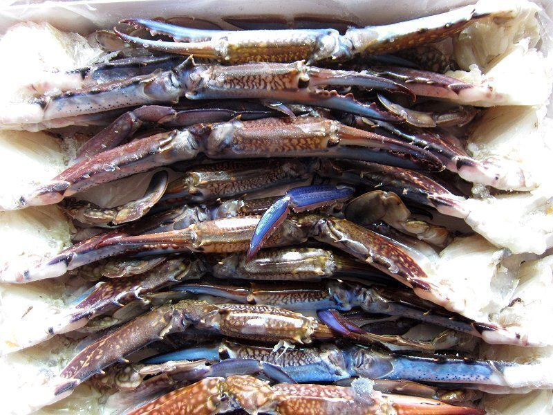 item_image_10
