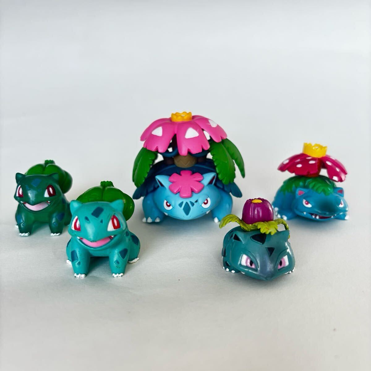 フシギダネ フシギソウ フシギバナ メガフシギバナ フシギダネ フシギソウ フシギバナ メガフシギバナ
