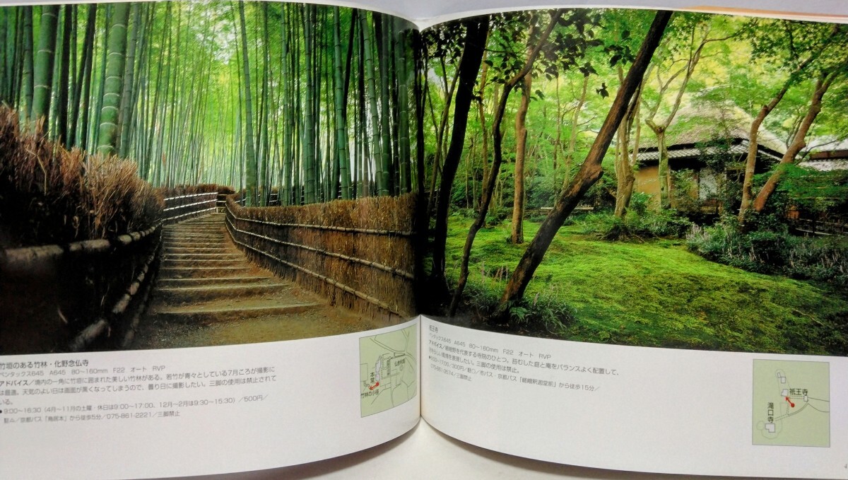 絶版◆◆京都 嵯峨野 カメラを持って京都へ行こう 山本健三◆◆梅宮大社 嵐山 広沢池 竹林 化野念仏寺 渡月橋 高雄 清滝川☆紅葉 雪景色 桜_画像4